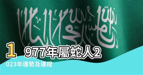 1977年民國|1977是民國幾年？1977是什麼生肖？1977幾歲？